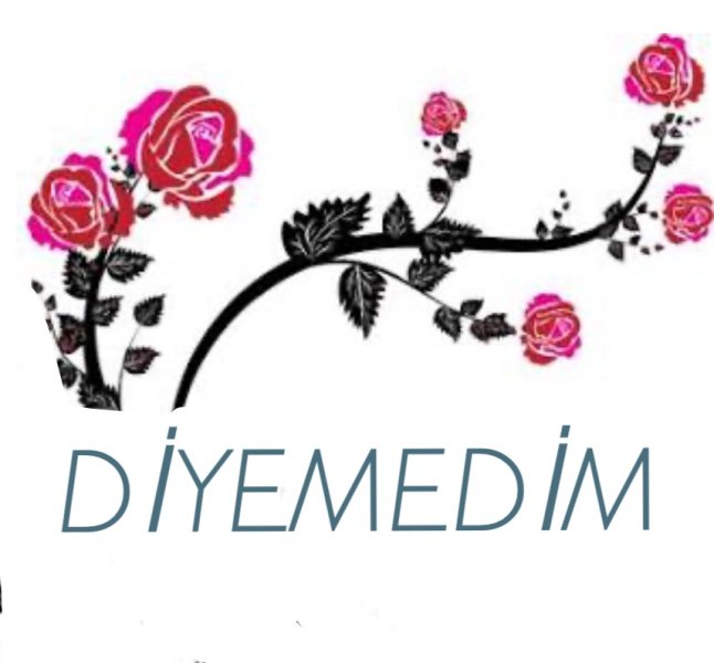 DİYEMEDİM