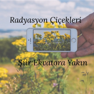 Read more about the article Radyasyon Çiçekleri/Ekvatora Yakın