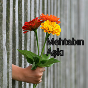 Read more about the article Mehtabın Aşkı/Mehmet Karadayı