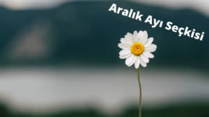 Read more about the article Yusuf’a Mektup/ Gökhan Bozkuş