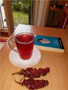 Read more about the article Sumakata / Nazif Özaslan