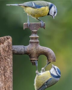 Read more about the article SERDEN GEÇTİM / Ercüment Said