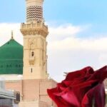 Siyer İle Siyer Felsefesinin Karşılaştırılması: Tarihî Disiplinden Düşünce Sistematiğine / Selim Gül